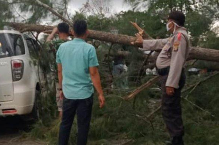 Daihatsu Terios tertimpa pohon tumbang di Jalur Lintas Barat Pringsewu, Pekon Bulukkarto, Gadingrejo, Lampung