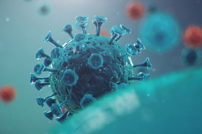 ilustrasi virus corona