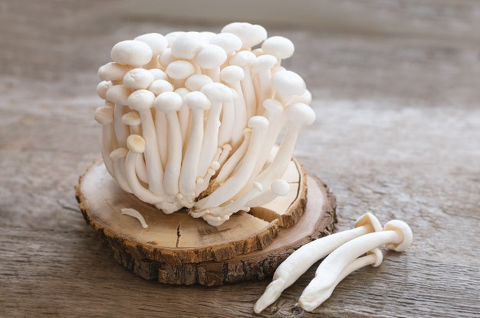 Ilustrasi jamur enoki yang mengandung bakteri listeria
