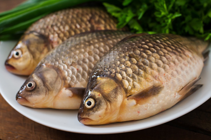 Tanpa Disadari Ikan ini Sering Dijadikan Lauk Padahal Memiliki Kandungan Merkuri Tinggi yang Berbahaya Bagi Kesehatan, Dampaknya Bisa Picu Kanker Otak!