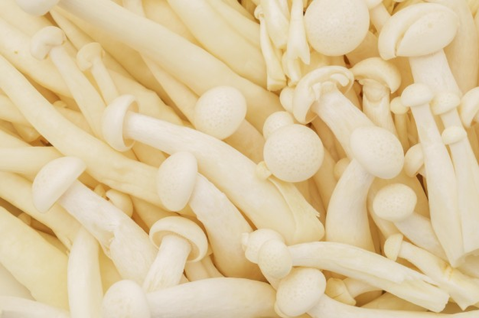 Bahaya Bakteri Listeria yang Diduga Hidup pada Jamur Enoki, Ternyata Bisa Ditemukan di Berbagai Tempat dan Jadi Penyebab Penyakit ini, Segera Kenali Gejalanya!