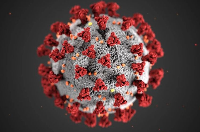 Ilustrasi virus corona.