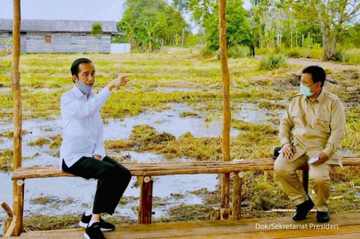 Menteri Pertahanan Diberi Tugas Berat Oleh Presiden Jokowi, Prabowo Harus Kawal Produksi Gabah 1,48 Ton Untuk Negara di Food Estate