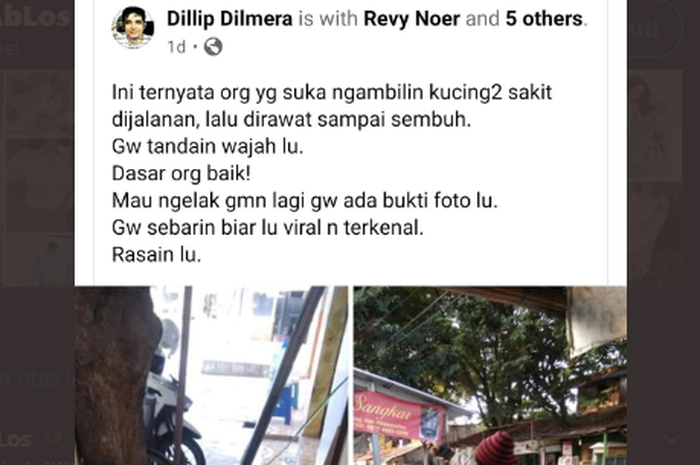 Seorang bapak-bapak yang suka nyelametin kucing sakit di jalanan tertangkap kamera oleh warganet dan kemudian viral