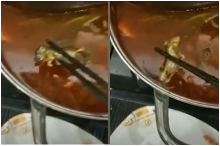 Tikus mati yang ditemukan dalam sup wanita hamil