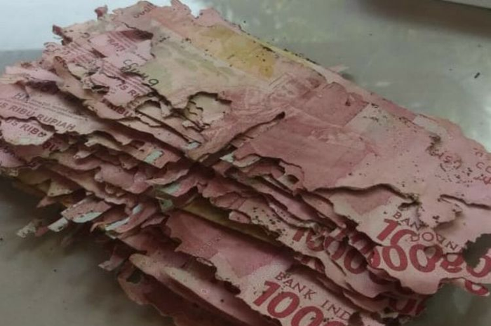 Uang Dimakan Rayap milik Sunardi Warga Kalurahan Putat, Kapanewon Patuk, Gunungkidul