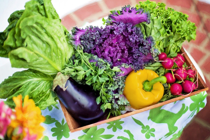 Ilustrasi sayur