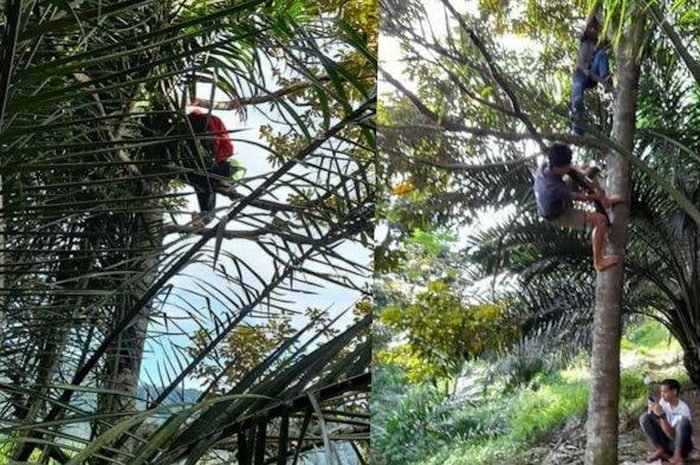 Reni Rosari Sinaga mengunggah kegiatan belajar luring dan daring di salah satu Desa di Kabupaten Simalungun, Sumatera Utara. 