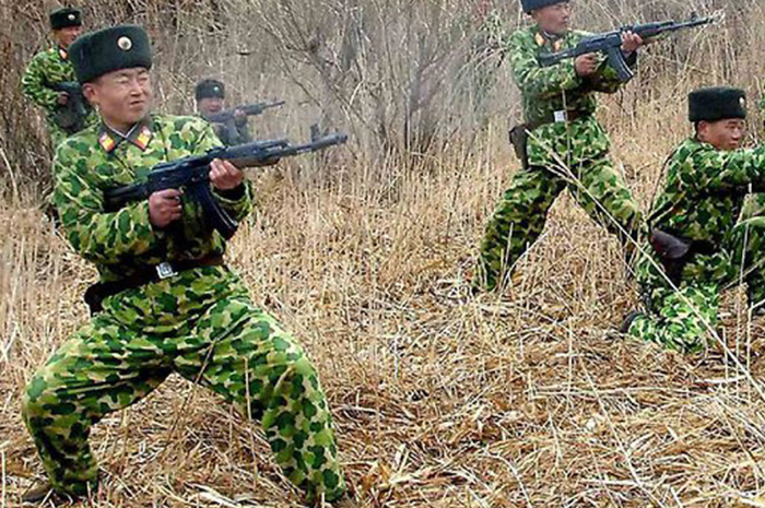 Jumlahnya sulit untuk dijabarkan, namun diperkirakan Korea Utara memiliki 1,5 dan 6 juta pasukan cadangan terlatih.