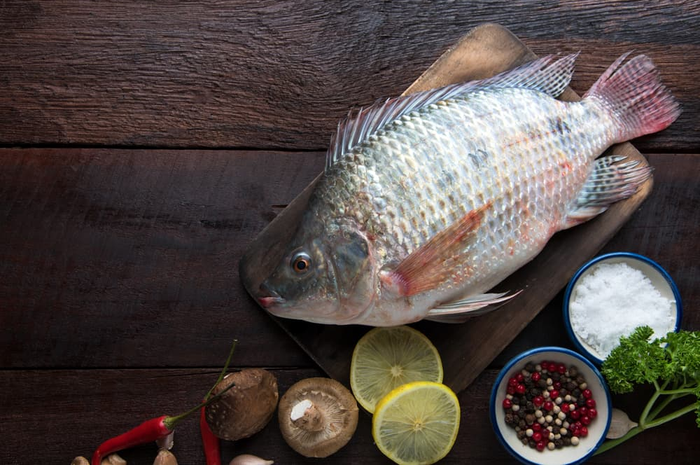 Ikan Mujair