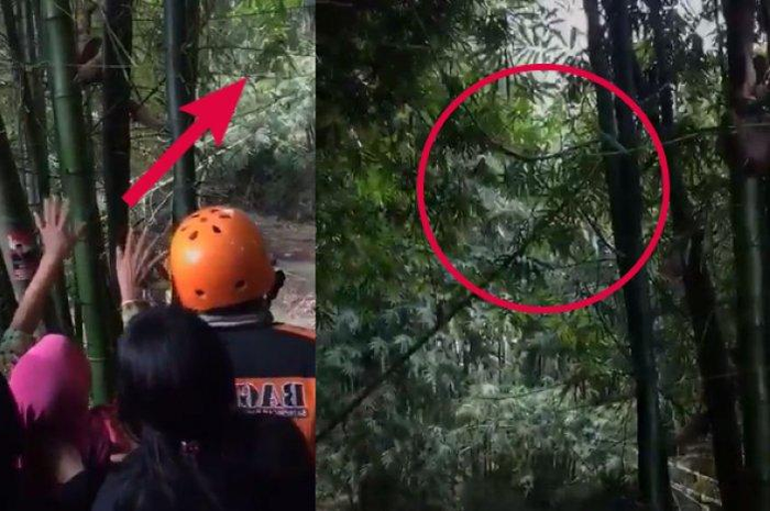 Ibu di Magelang menjadi viral saat putranya hilang, ngaku melihat sosok anaknya hingga terus memanggil namanya ke arah pohon bambu