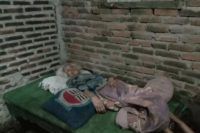 Nenek Wartino