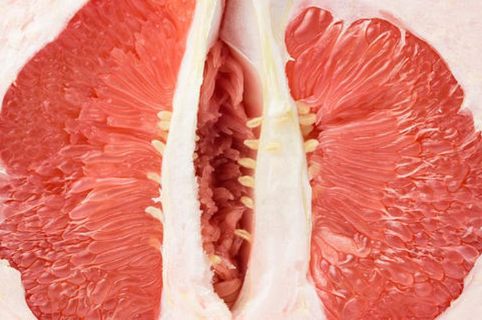 Ilustrasi vagina