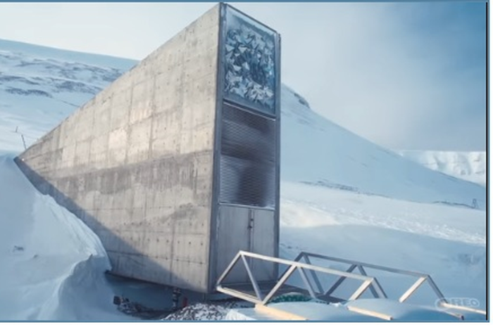 Global Oreo Vault