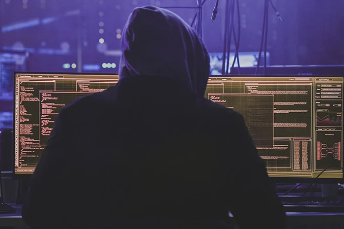 Ilustrasi Hacker