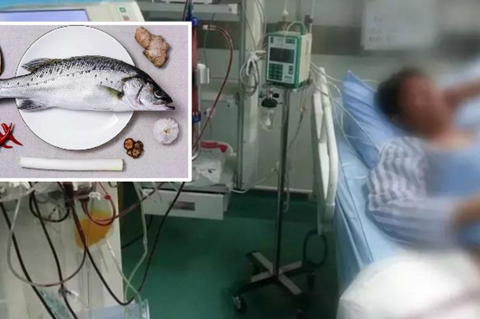 Meski menyehatkan, sebaiknya hindari makan bagian ikan ini, karena seorang pria divonis gagal ginjal setelah memakannya.