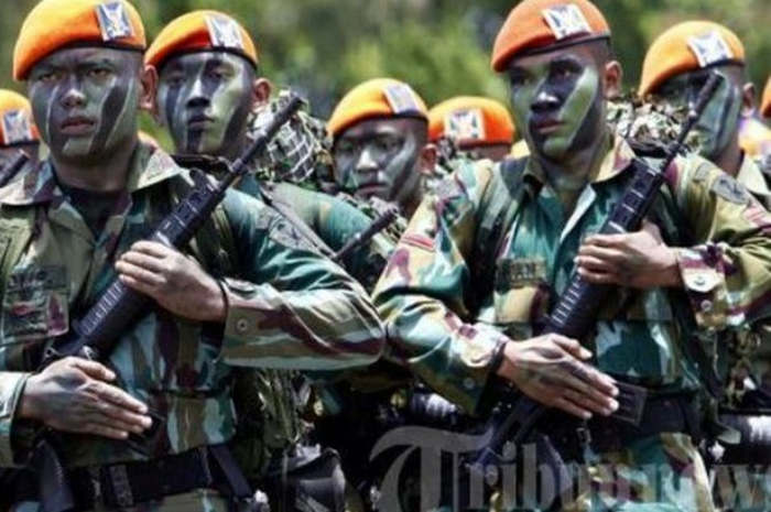 Paskhas TNI AU 