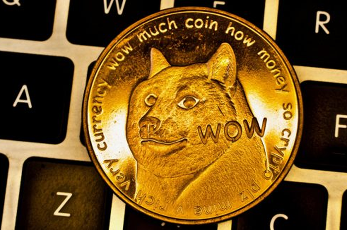 Dogecoin (DOGE) 