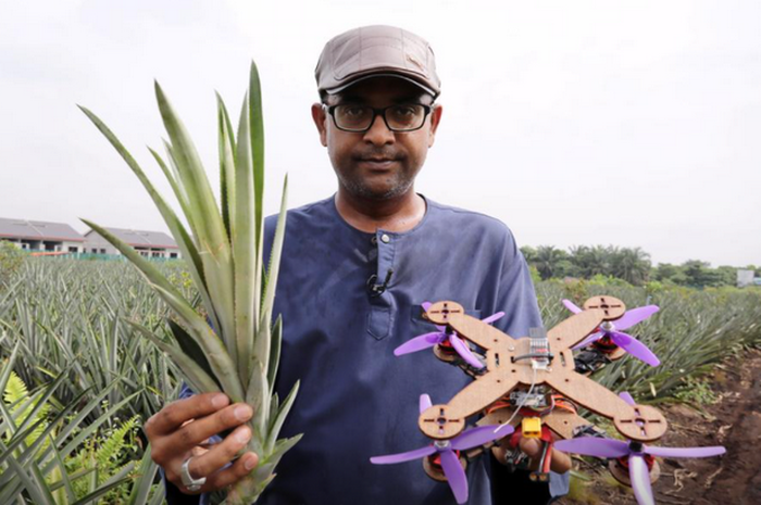 Peneliti Malaysia mengembangkan drone dari serat daun nanas.