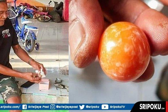 Nelayan asal Thailand, Hatchai Niyomdecha dan ayahnya, Bangmad Niyomdecha, memeriksa mutiara oranye yang diyakini sebagai salah satu jenis mutiara termahal dunia. 