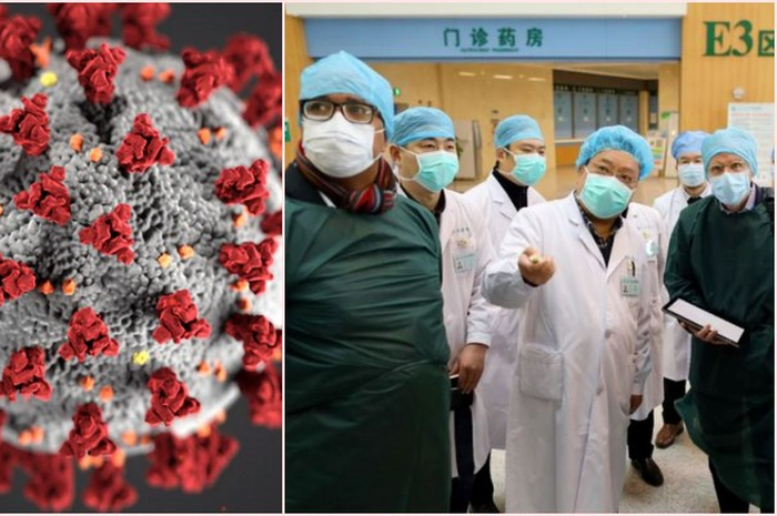 Usulan itu memungkinkan WHO untuk menyelidiki dua masalah penting yang antara lain adalah infeksi pertama di Wuhan.