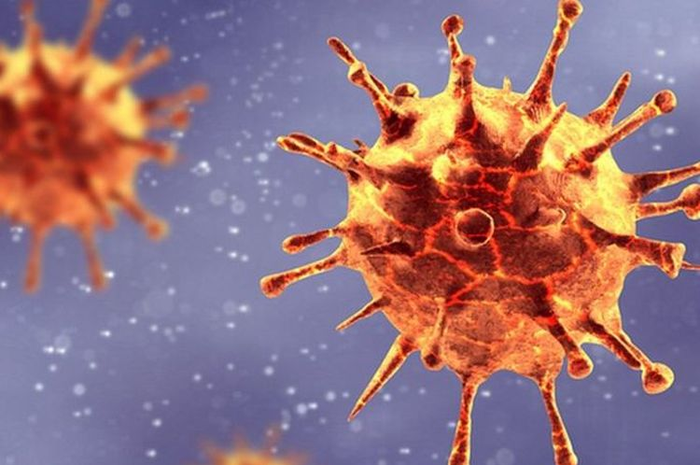 Satgas Covid-19 kembali ungkap mutasi virus corona baru yang masuk Indonesia, kali ini varian b1525.