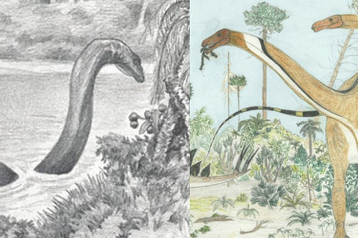 Mokele Mbembe: Pencarian Dinosaurus yang Hidup