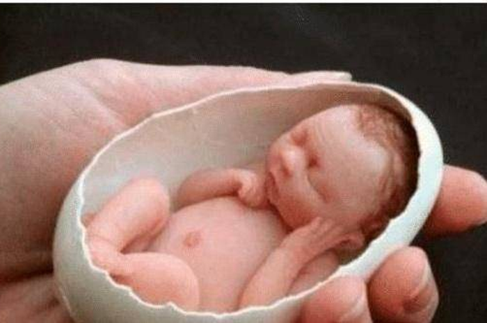 Amelia Taylor, Bayi terkecil di Dunia.