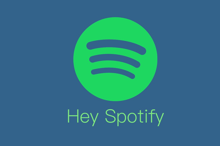 Virtual Assistan Hey Spotify