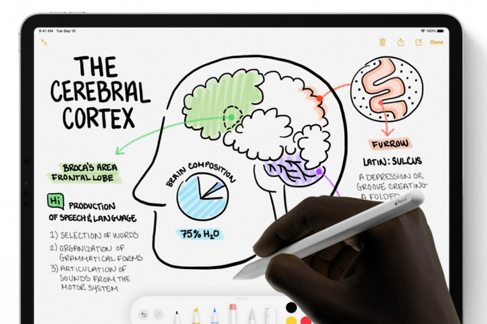 Penggunaan Apple Pencil pada perangkat iPad
