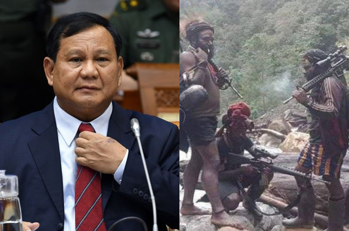 Terungkap Janji Prabowo untuk Berjuang Lakukan Ini Demi Warga Papua Kala OPM Diusulkan Masuk Daftar Teroris Internasional