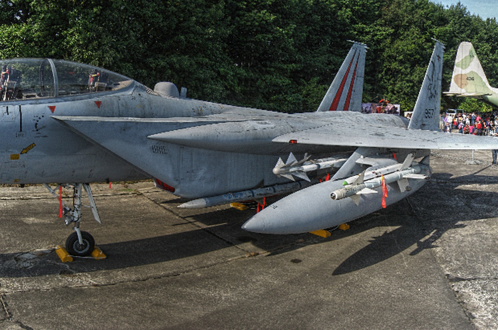Angkatan Udara Israel F-15D