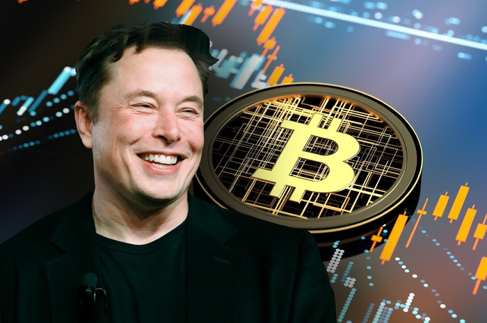 Ilustrasi Elon Musk dan traffic nilai aset kripto