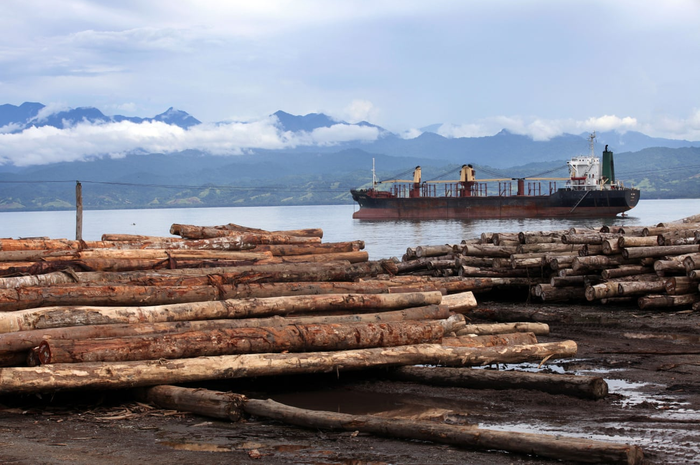 Praktik illegal logging di Papua Nugini untuk masuk ke pabrik-pabrik di China