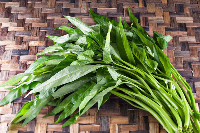 Ilustrasi (sayur) Kangkung