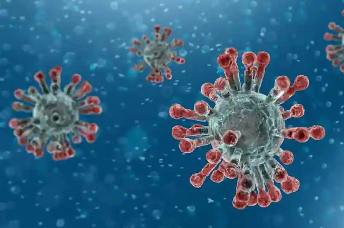 ilustrasi virus corona