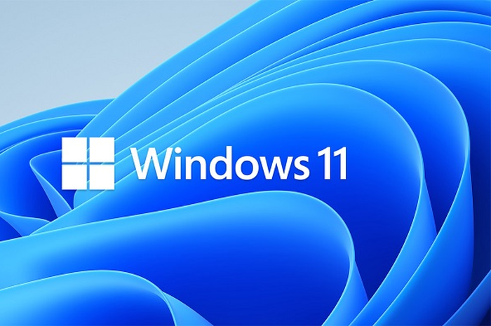 Windows 11