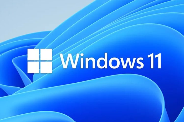Windows 11