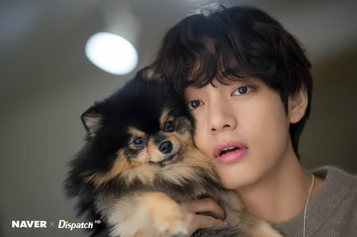 V 'BTS' dan Yeontan