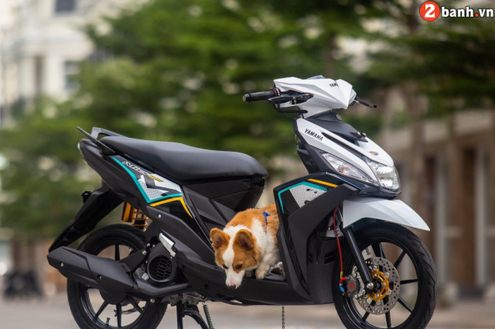 Modifikasi Yamaha Mio M3, tampil simpel dengan ubahan minimalis.