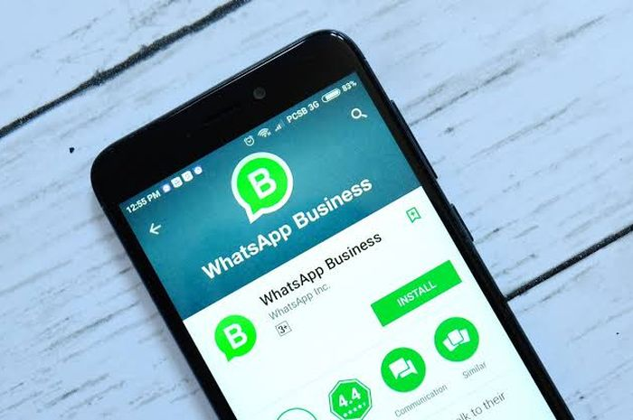 Ilustrasi WhatsApp Business
