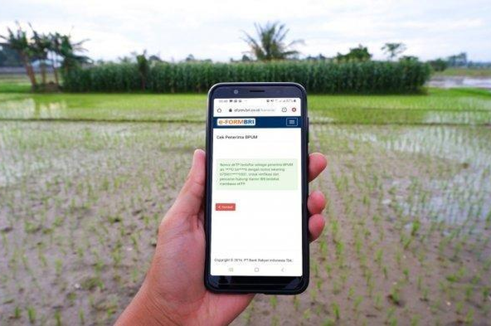 Bagaimana jika tidak terdaftar di link Eform BRI? Ini ciri-ciri tetap dapat bantuan BPUM Rp 1,2 juta meski NIK KTP tidak terdaftar di Eform BRI. 