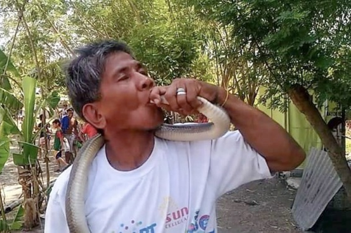 Bernardo Alvarez, pria ini dijuluki manusia ular, karena kebal pada bisa racun ular.