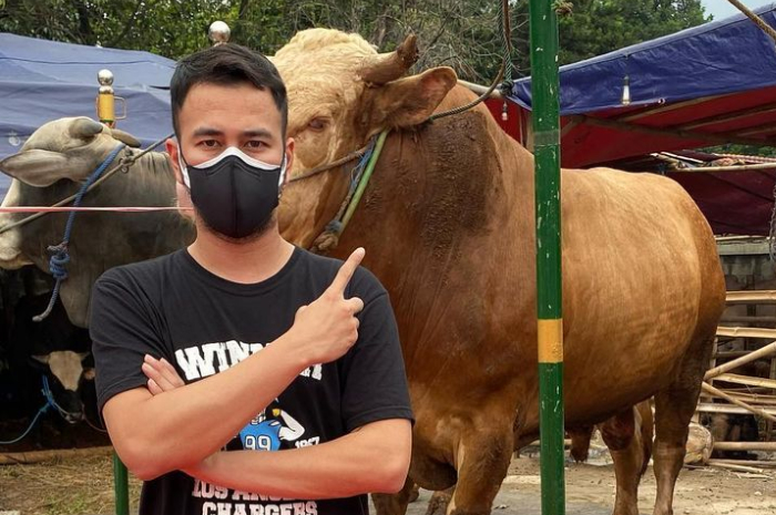Raffi Ahmad siapkan sapi untuk kubran di Hari Raya Idul Adha 2021