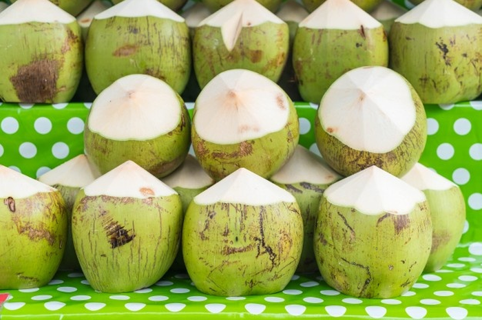 Ilustrasi Air Kelapa 