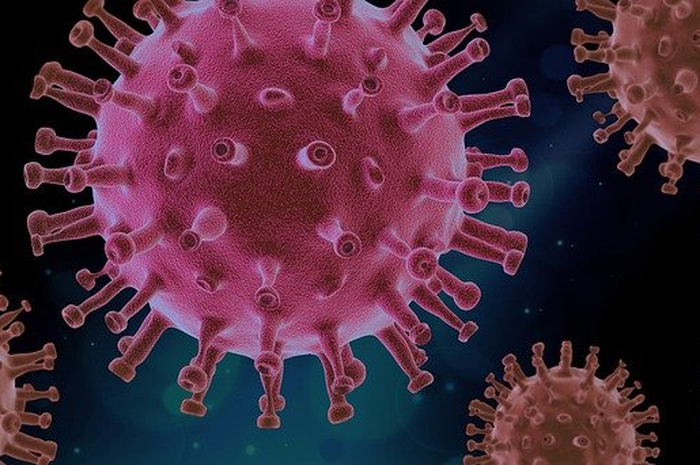 Jika berfungsi dengan baik, sistem pertahanan yang kompleks ini dapat mencegah masalah kesehatan mulai dari flu biasa hingga kanker berbahaya.