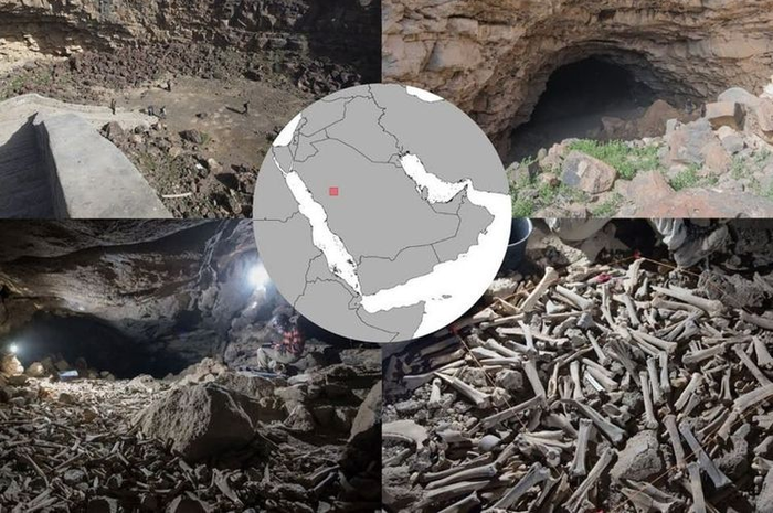 Ratusan Ribu Tulang Hewan dan Manusia Ditemukan dalam Gua di Arab Saudi