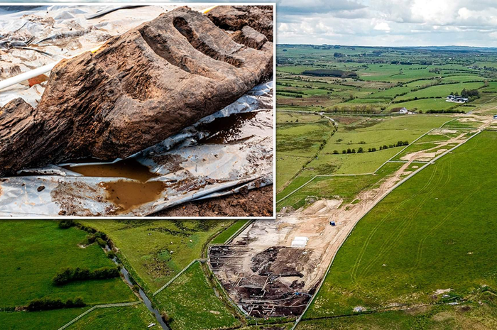 Berusia 1.600 tahun, patung Dewa Pagan setinggi 2,44 meter ditemukan di Irlandia.