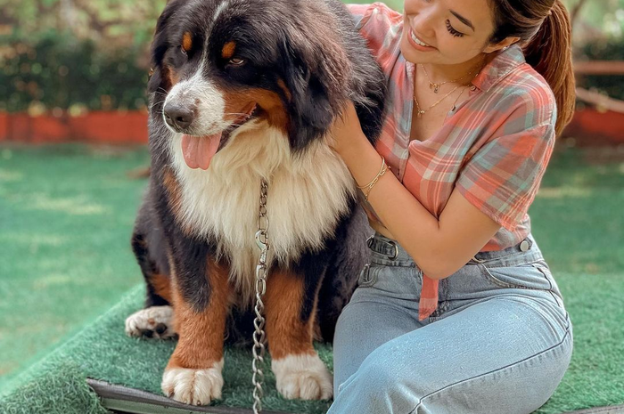 Foto Gisel dengan posisi kaki menyilang menuai komentar. Namun, salah satu netizen malah kena semprot. 