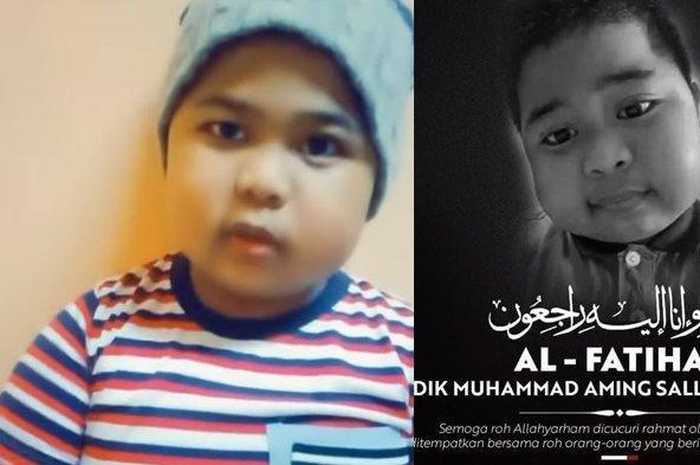 Muhammad Aming Salleh meninggal dunia